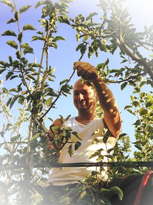 Gartenmeister Kießlich Gartenpflege vom Profi