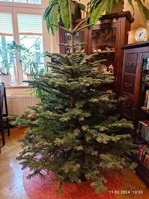 Gartenbau C. Fleischer