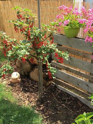 Schneider‘s Garten & Haus Service