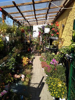 Gabriele Liebich Blumenparadies Susicky