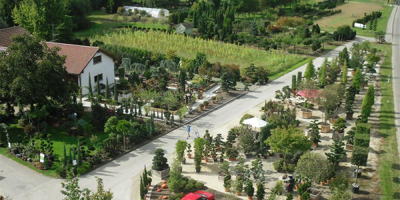 Bernd Hiller, Pflanzenverkauf & Garten- u. Landschaftsbau