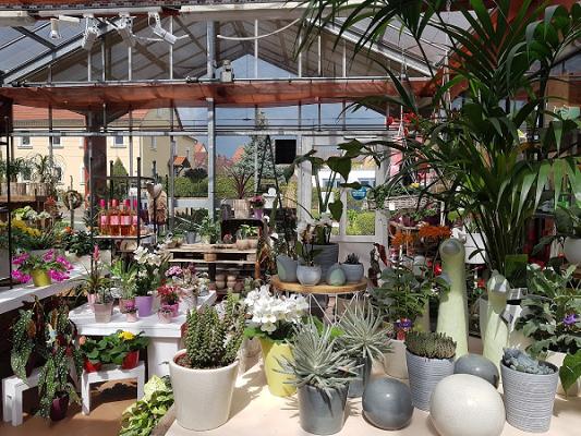 Blumenhaus Teuser & Gärtnerei Otto Peter