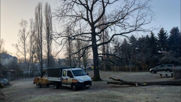 Service für Baum & Haus - André Tharang