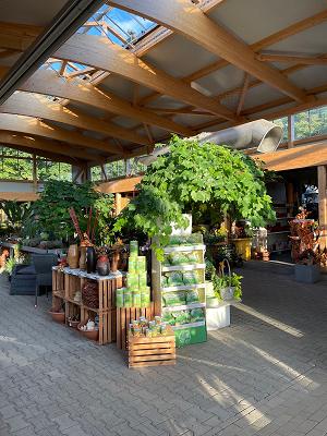 Mammutgarten (Kulturorangerie, Gartenmarkt, Restaurant, Biomarkt, Gartenplanung und Design)