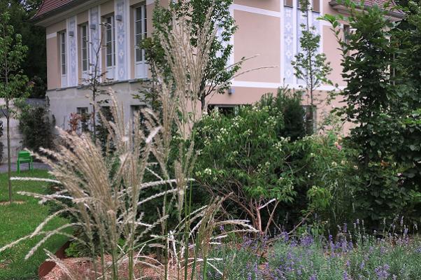 Bernsteins Flora - Annekathrin Bernstein