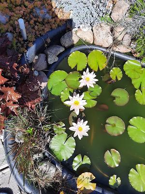 Sparte „Zur Erholung“ in Doberschau e.V.