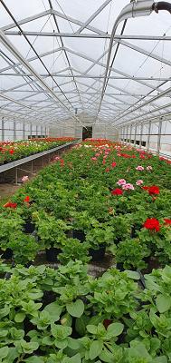 Gartenbau Günzel GbR