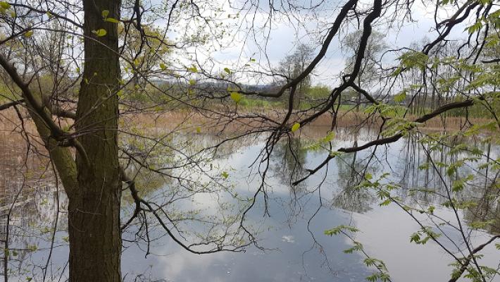 Angela Wollner Gartenbau