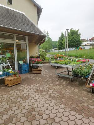 Gärtnerei Fritsche Inh. R. & S. Haase