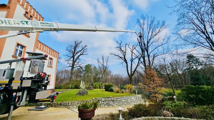 Baumdienst Andreas Harazin