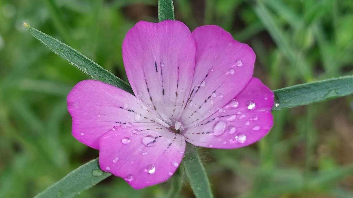 682ee834b6808