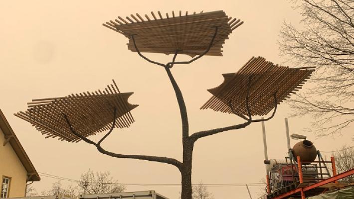 Factum Natura Gartenbau