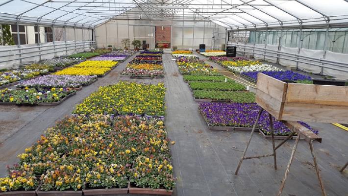 Garten- und Landschaftsbau Halke UG (haftungsbeschränkt)