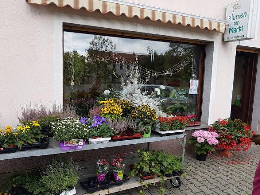 Blumen Zschorlich Gärtnerei/Blumenhandel