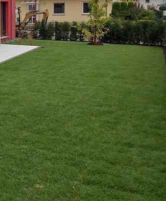 Garten -& Landschaftsbau Tolle