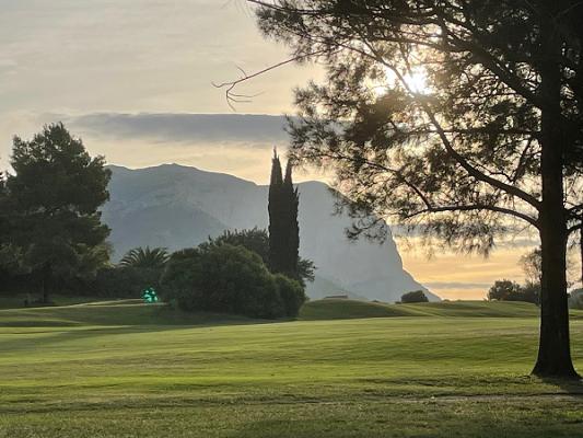 Haedi-Flor Gartengestaltung