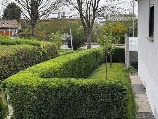 Gartenpflege Krings