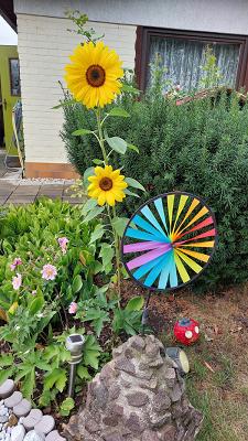 Wirrwuchs Mitmachgarten