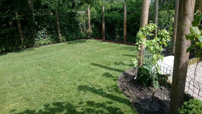 Baum & Garten Lüttich I Garten und Landschaftsbau