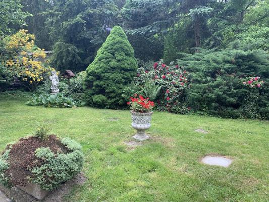 Thomas Knaack Gartenbaubetrieb