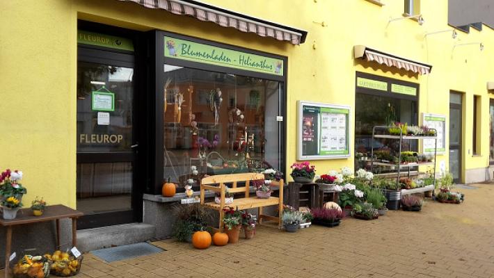 Blumenladen Helianthus