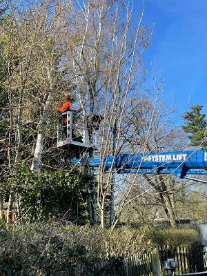 Baum & Gartenservice Jungmann