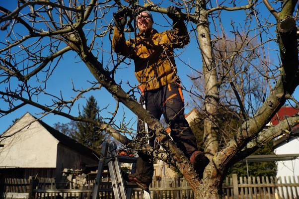 Blattschneider Baumpflege, Johanna Warzecha und Falk Thiele GbR