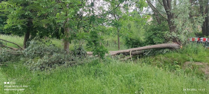 Garten-/Grundstückspflege Privat nach Absprache
