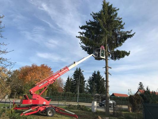 Lederer Gartenservice