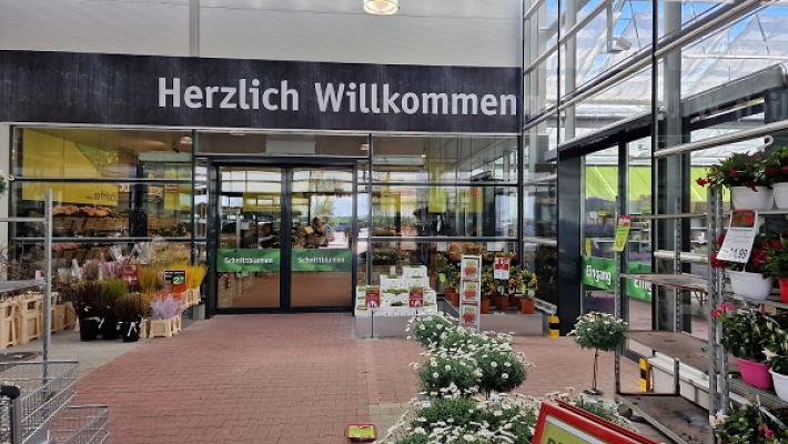 Pflanzen Richter