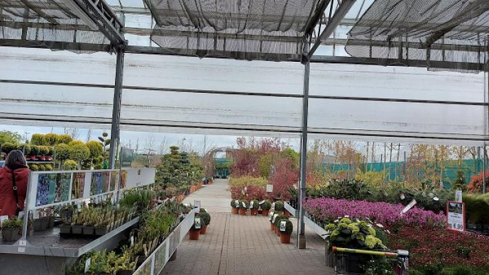 682eea4042c04