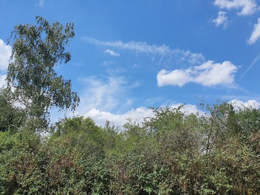 Gartenbau Jope