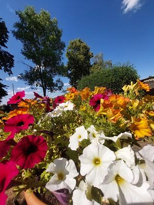 Gartenanlage am Streitteich