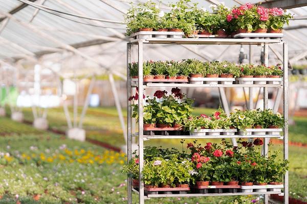 Gartenbau- Und Handelsunternehmen Mühe GmbH