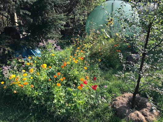 Lohse Naturgarten + Service