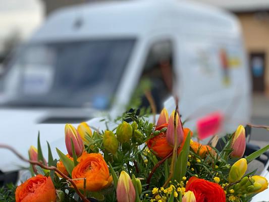 Blumenhaus & Gärtnerei Schubert