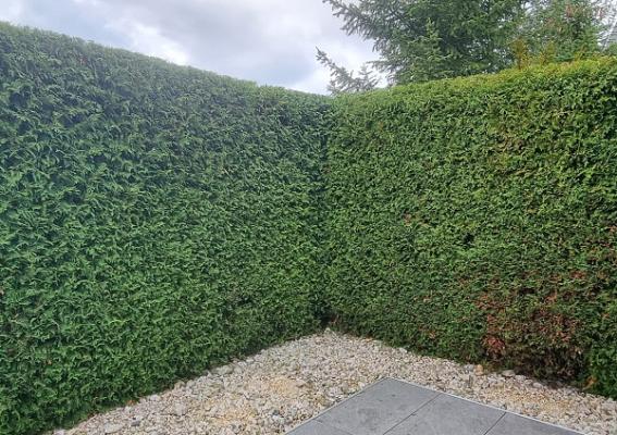 Gartenservice Cedric Rother