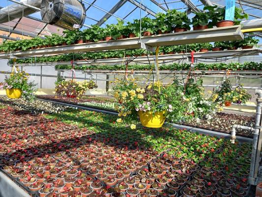 Gärtnerei Ziegengeist