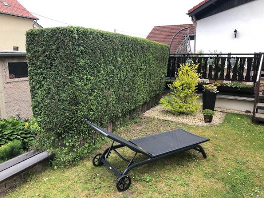 Baum- & Gartenpflege Kuhnke