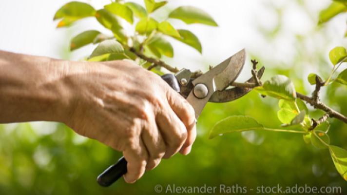 Haus- u. Baumservice Walther