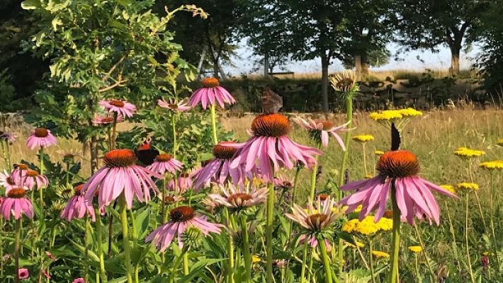 Gartengestaltung Nickerl