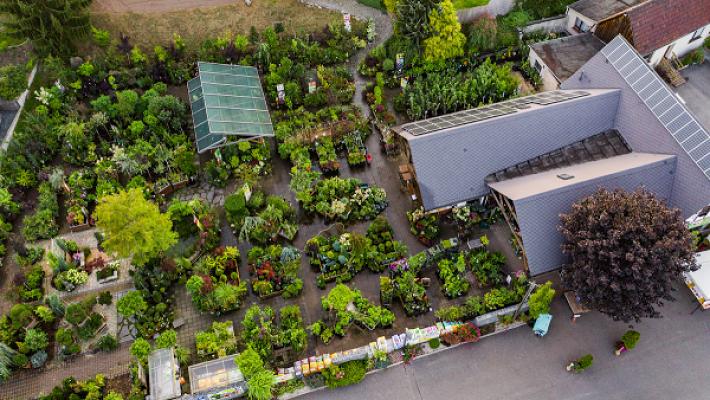 Baumschule Mülsengrund