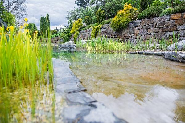 Garden Concept Hahn