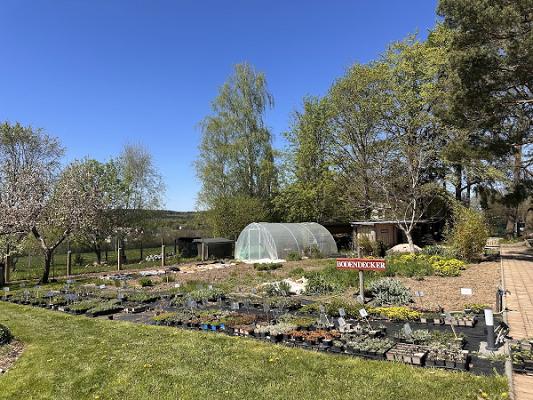 Staudengärtnerei Thümer