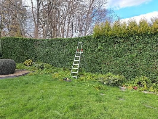 Hausmeisterservice - Haus und Garten Falkenstein