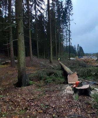 Steven Pöhland Garten- und Landschaftsbau