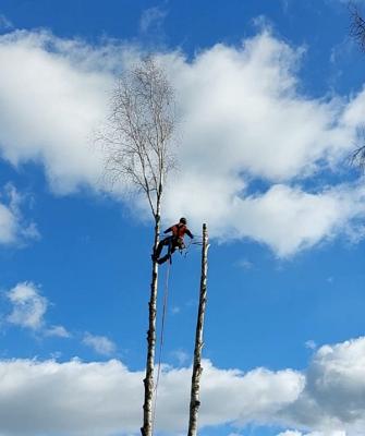 Sägen Flo - Florian Huster