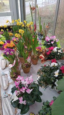 Antje-Katharina Gärtnerei Nobst