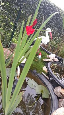 Gartenanlage Fortschritt