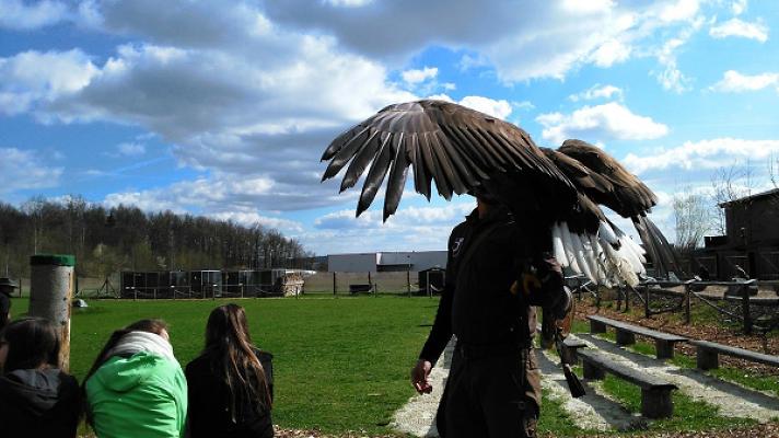 KGV Birkenhübel e.V.